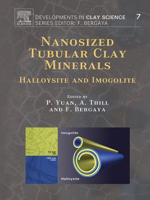 cover image of Nanosized Tubular Clay Minerals